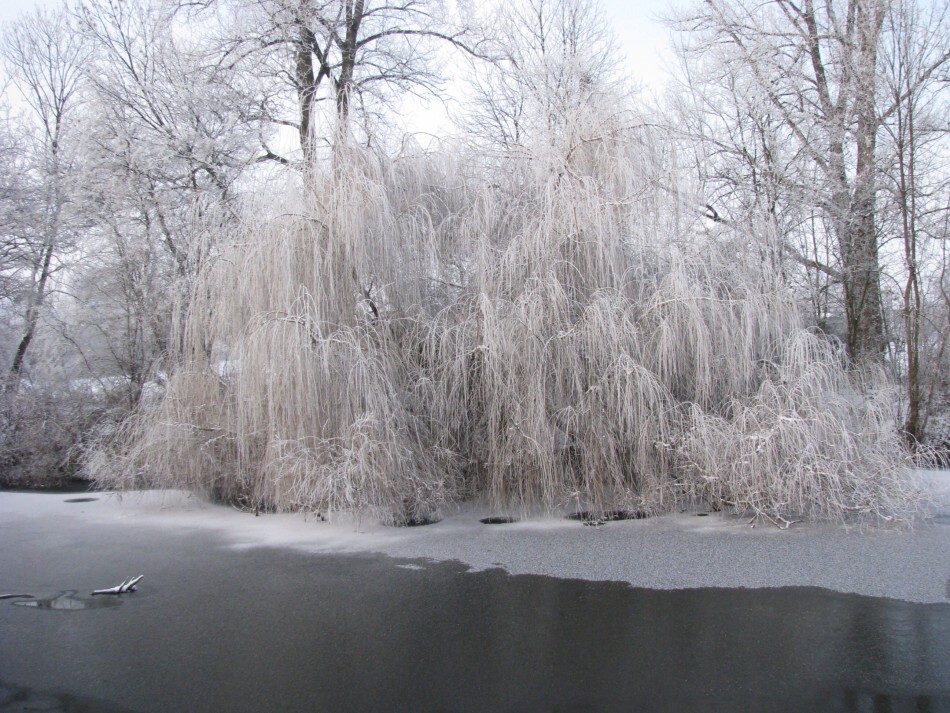 103 Vraňany 5.1.2010